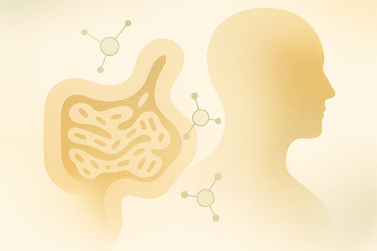 Gut Microbiome and Aging: Nutrient Absorption Link