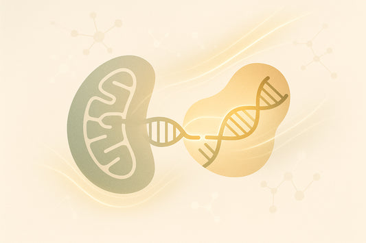 CRISPR-Cas9 for Mitochondrial DNA Repair