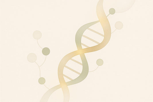 Ultimate Guide to DNA Repair Nutrients