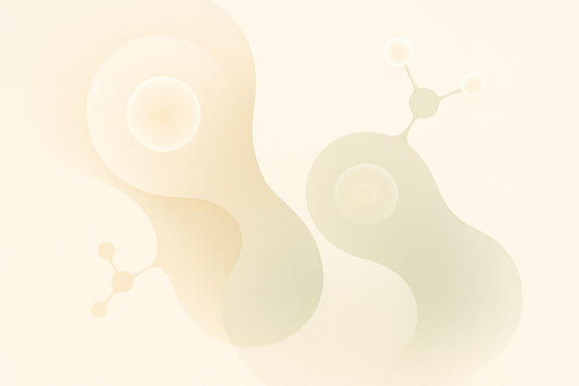 GMP Documentation: Best Practices for Longevity Supplements