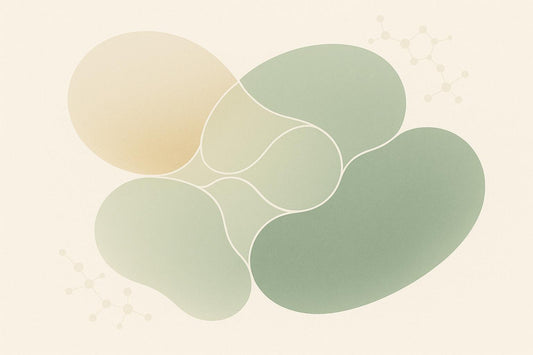 Probiotics and Gut Barrier: How They Support Metabolic Health