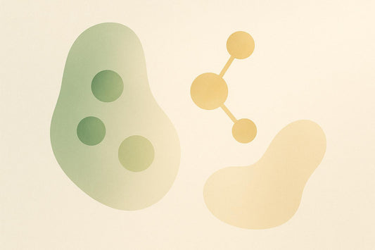 Meta-Analysis: Antioxidants and Longevity Outcomes