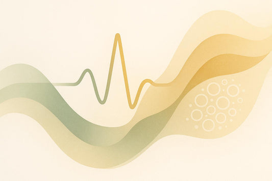How Heart Rate Zones Impact Longevity