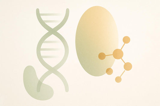 Plant-Based Diets and Epigenetic Aging: What Studies Show