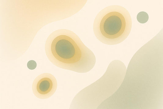 Fisetin as a Senolytic: How It Targets Aging Cells