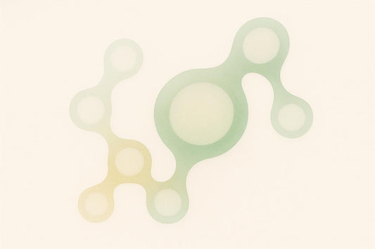 Self-Healing Hydrogels for Tissue Repair
