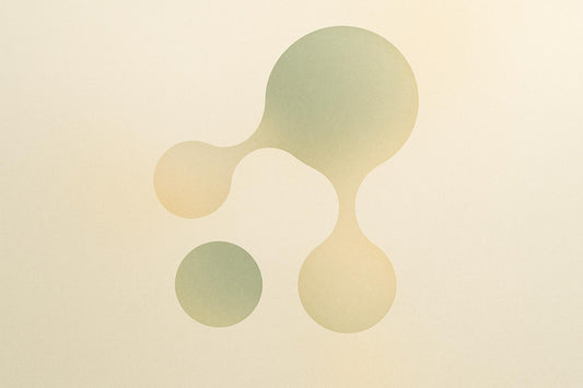 How p16INK4a Tracks Cellular Aging Across Species