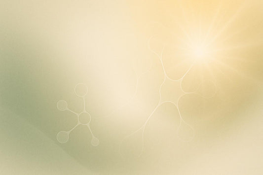 Dietary Antioxidants and Brain Oxidative Stress