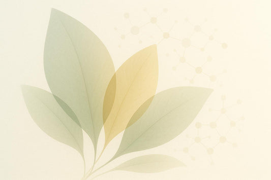 Top 5 Sustainable Sourcing Practices for Supplements