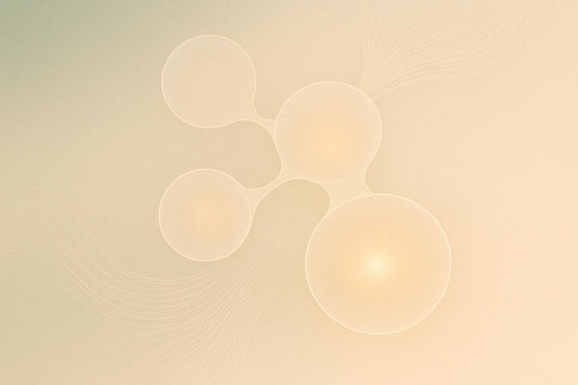 How Micronutrient Deficiency Impacts Aging