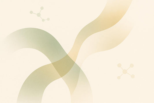 Benefits of Synergistic Adaptogen Blends