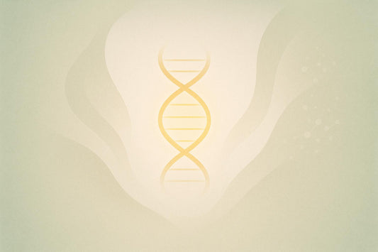 How Glutathione Shields DNA from Oxidative Damage