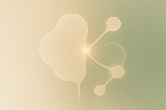 Antioxidant Effects on Brain Biomarkers Over Time