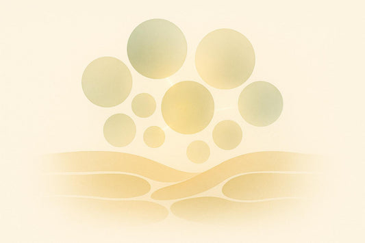 Cellular Processes in Wound Healing
