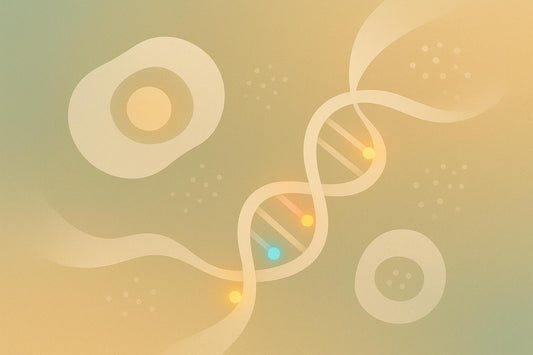How DNA Methylation Affects Aging and Longevity