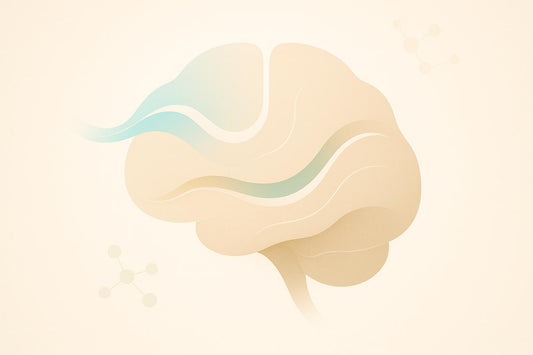 Research on Antioxidant Timing for Brain Health