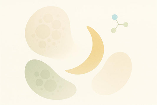 Boswellia and Chronic Inflammation: Key Facts