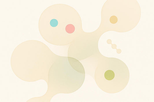 FGF Signaling and Aging: Key Insights