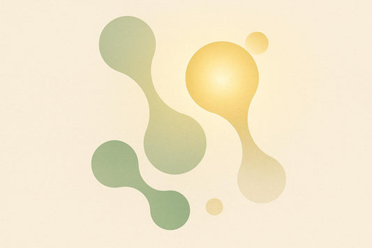 AMPK Role in Autophagy and Aging