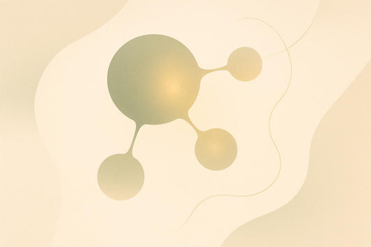 Spermidine and Epigenetics in Aging