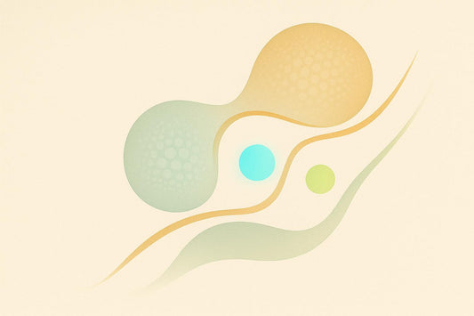 Long-Term Exercise and Hormonal Adaptations Explained