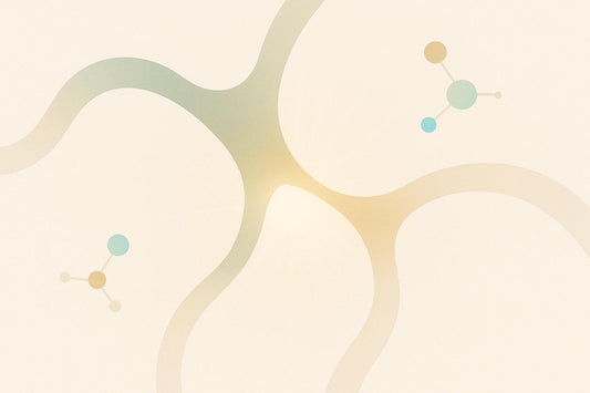 Catalase and Blood-Brain Barrier Protection