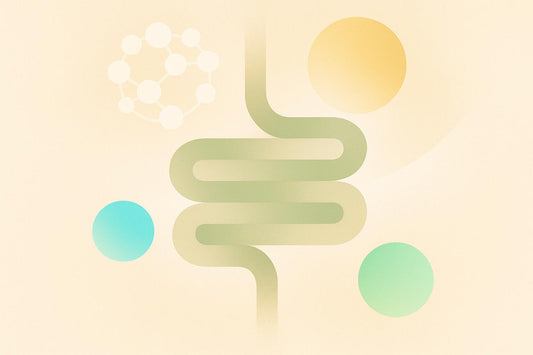 Prebiotics and Systemic Inflammation: What Studies Show
