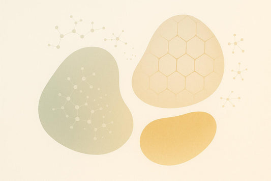 Extracellular Matrix and Skin Aging: What to Know