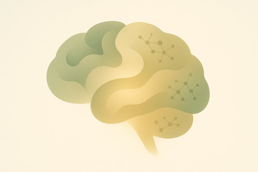 Sleep Patterns and Cognitive Decline: What Data Shows