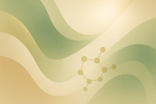 How Hydrogels Improve Supplement Absorption