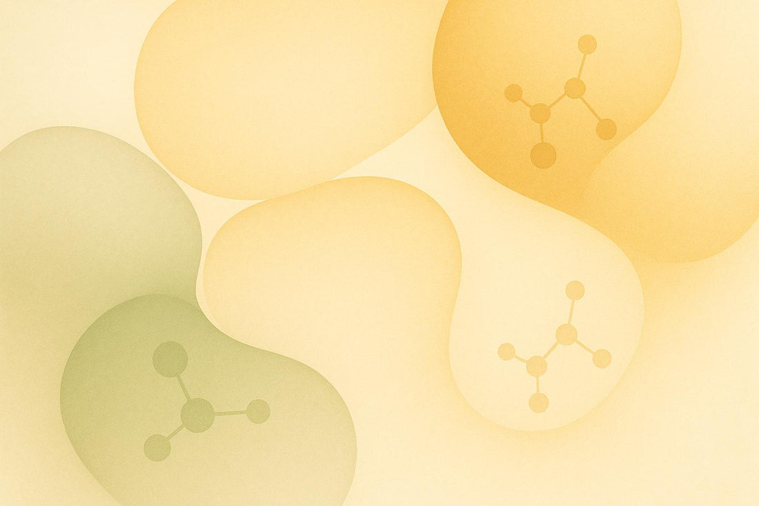How Aging Alters Immune-Driven Tissue Repair