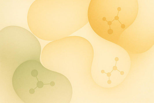 How Aging Alters Immune-Driven Tissue Repair