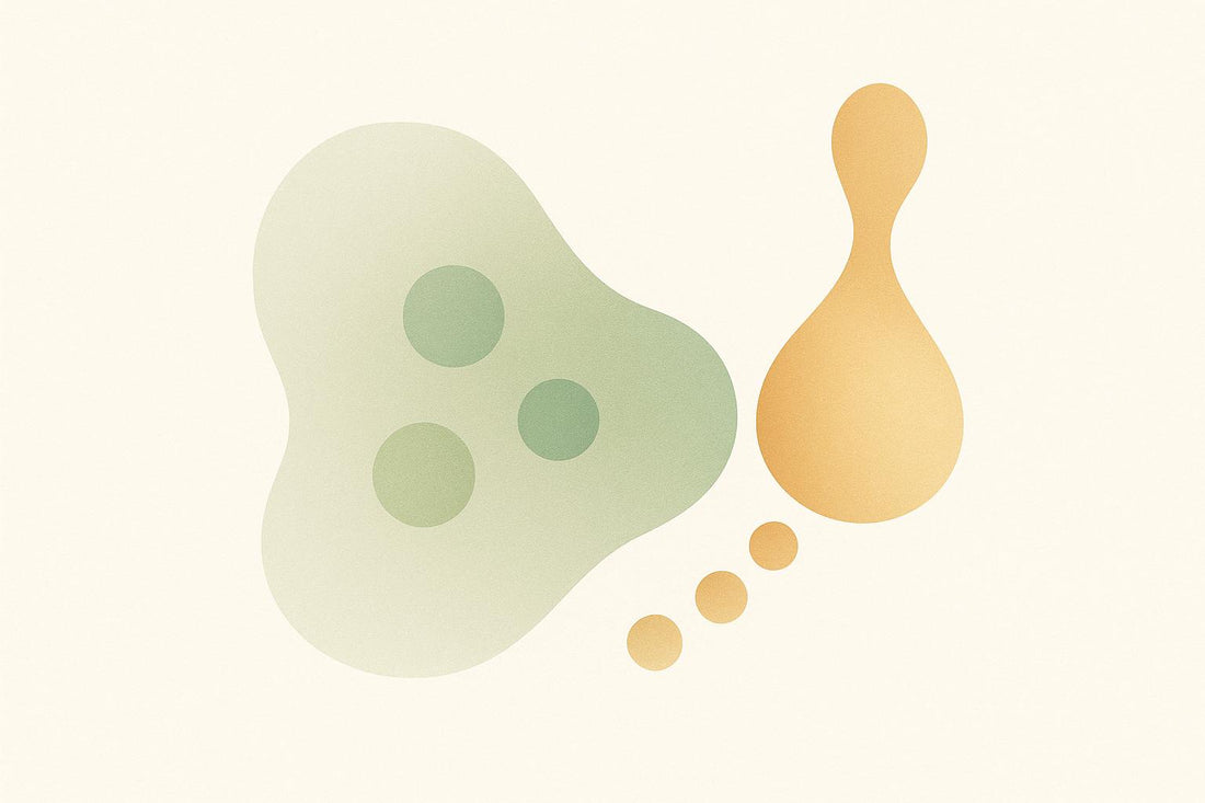 Enzymes and Nutrient Breakdown: Key Mechanisms