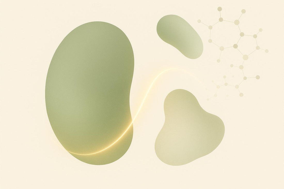 Oxidative Stress and Mitochondrial DNA Damage