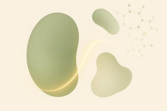 Oxidative Stress and Mitochondrial DNA Damage