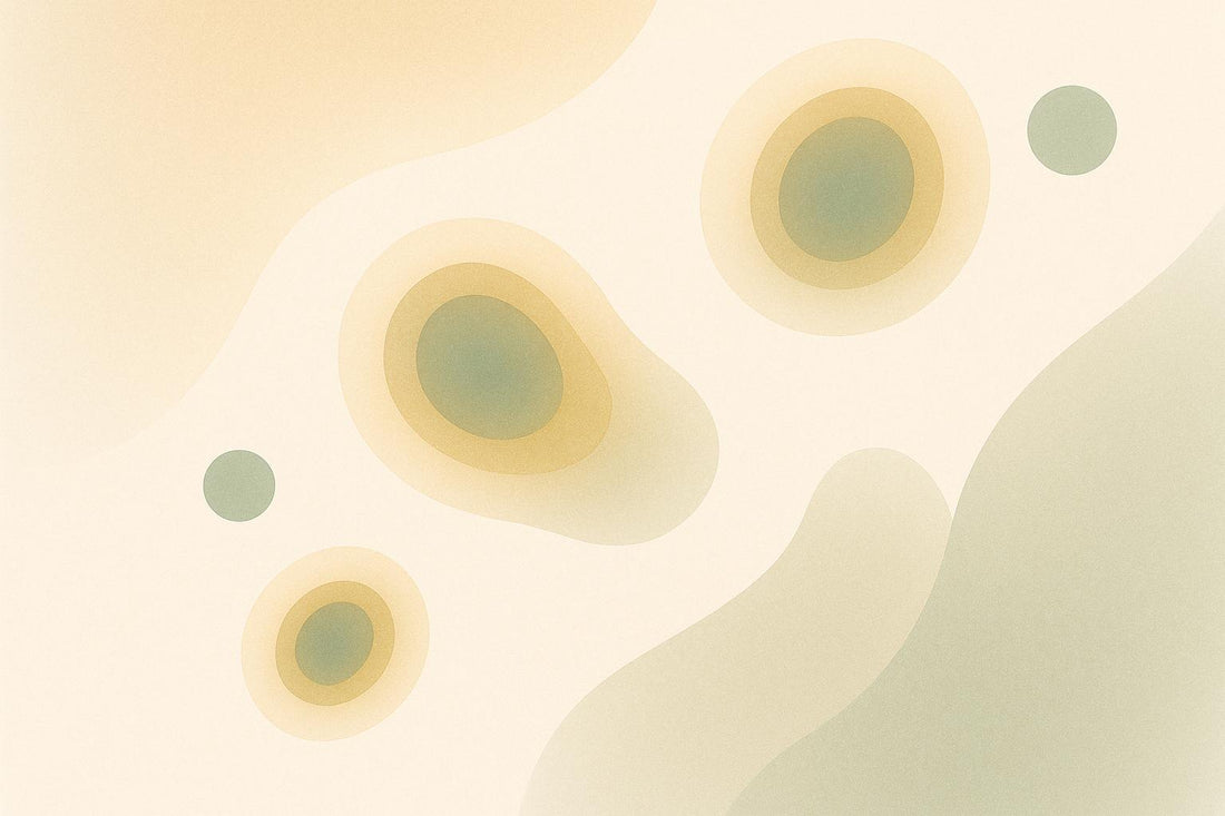 Fisetin as a Senolytic: How It Targets Aging Cells