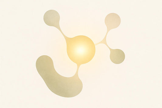 Telomerase and Cancer Risks: What Studies Show