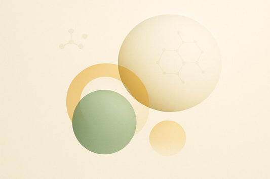 Solid Lipid Nanoparticles for Oral Bioavailability
