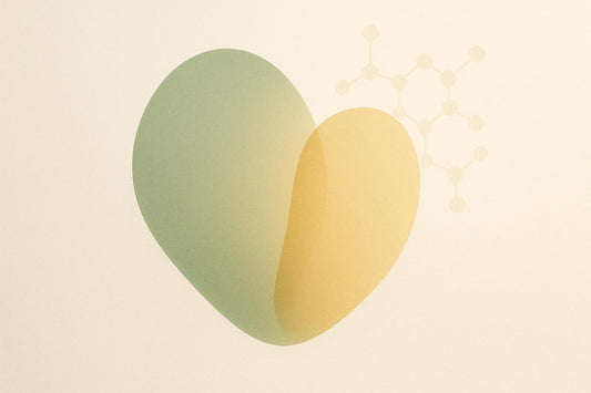 Polyphenols and Drug Interactions: Risks Explained