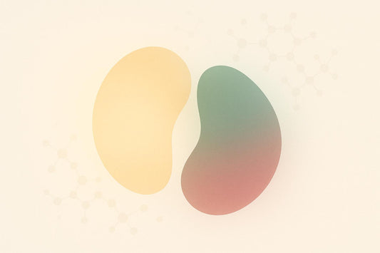 Morning vs Evening: Best Time for NMN Supplements