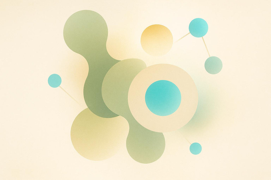 How NMN Targets Cellular Senescence