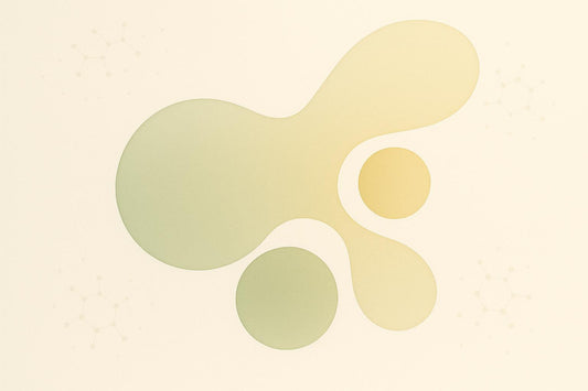 Immune Surveillance vs. Stem Cell Aging