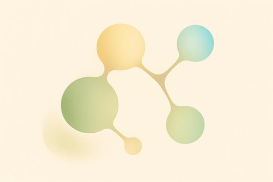 Branched-Chain Amino Acids and Aging: What Science Says
