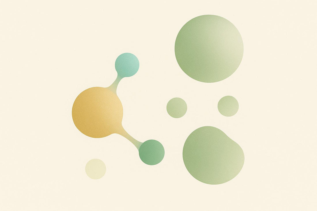 Peptide Nanocarriers for Longevity Compounds
