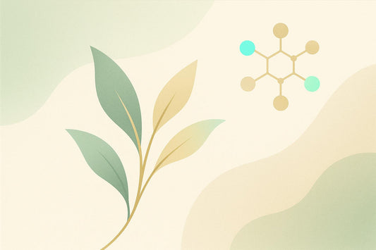 How Polyphenols Reduce Chronic Inflammation