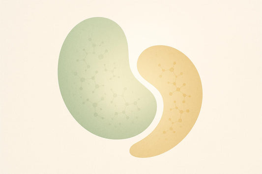 Plant vs. Animal Protein: Aging Benefits Compared