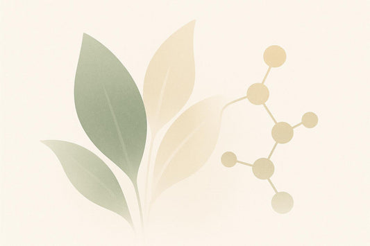 Challenges in Standardizing Herbal Extracts