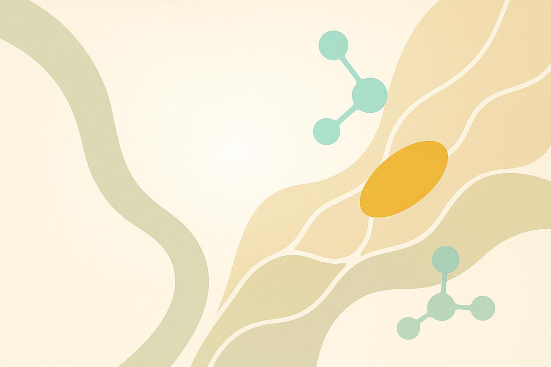 Curcumin and Blood-Brain Barrier: Key Mechanisms