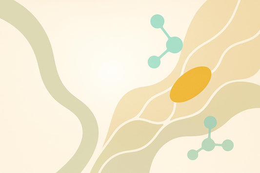 Curcumin and Blood-Brain Barrier: Key Mechanisms