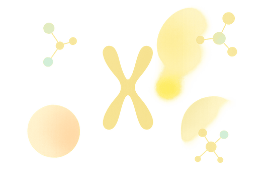 Hormones and Telomere Length: Key Connections